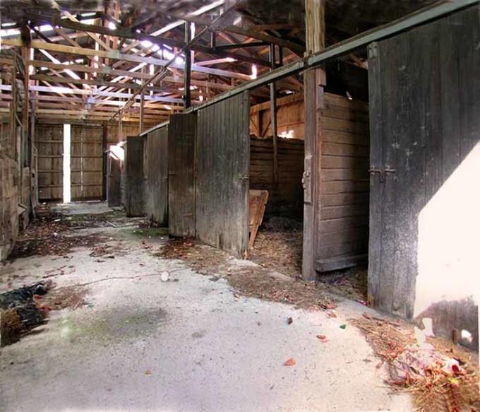 Femeie de 38 de ani, bolnavă psihic, ținută &icirc;ntr-un grajd, timp de 13 ani. Polițiștii, șocați de condițiile inimaginabile &icirc;n care trăia