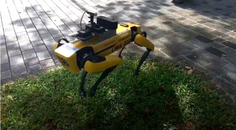 Un c&acirc;ine robot impune distanţarea socială &icirc;ntr-un parc din Singapore