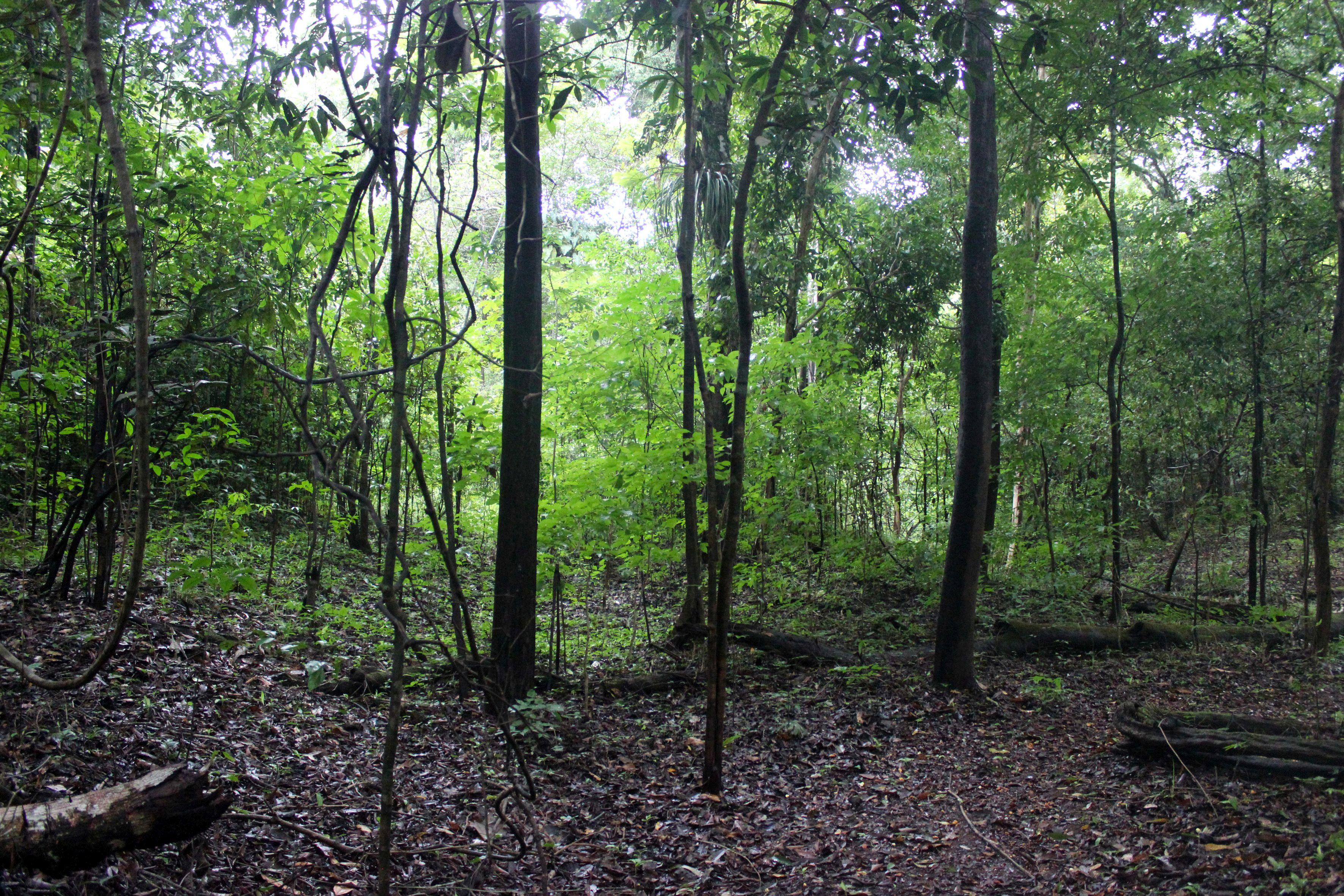 Locul de unde ar putea izbucni următoarea pandemie, după cea de coronavirus, dezvăluit! Specialist: &bdquo;Ar fi bine să nu ne forțăm norocul!&rdquo;