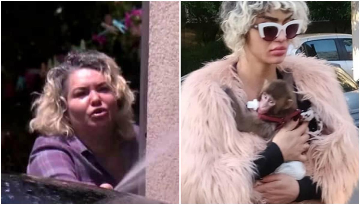 Viorica de la Clejani, declarațiile momentului! Ce consuma, de fapt, Margherita: &bdquo;Rom&acirc;n sau țigan, tot &icirc;n păm&acirc;nt te duci&rdquo;