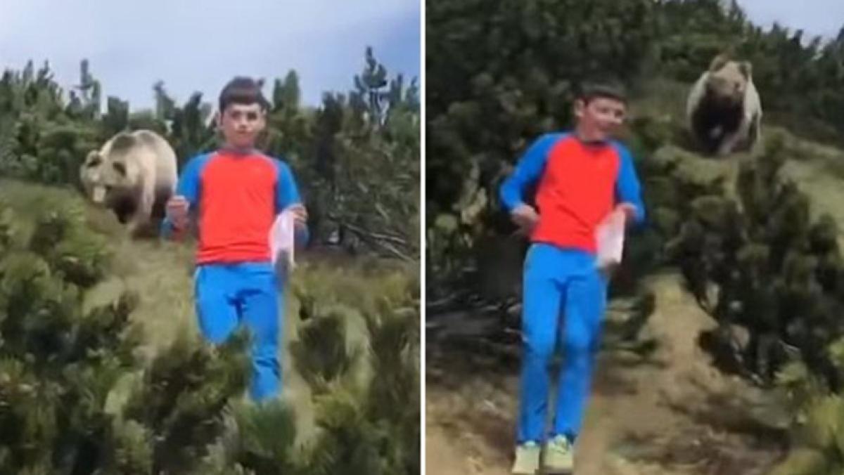 Imagini uimitoare! Cum a reușit un copil să scape de un urs imens! VIDEO