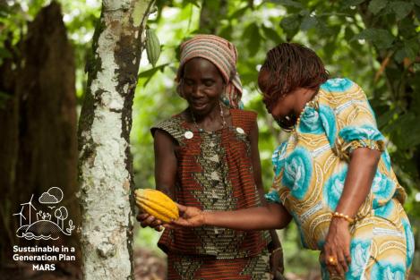 Mars își extinde angajamentul față de cultivatorii de cacao din lanțul său de aprovizionare