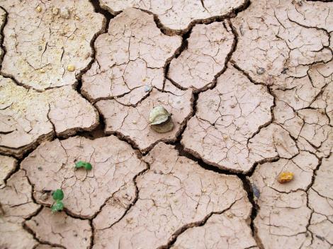 Prognoză îngrijorătoare privind seceta din România: deficitul apei din sol este un semnal de alarmă! Care sunt efectele lipsei de apă pe perioade lungi de timp
