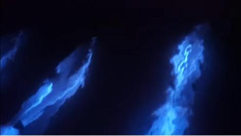 Valurile bioluminescente din sudul Californiei atrag numeroşi oameni pe măsură ce plajele se redeschid