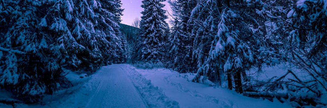 Video | Dimineață de poveste &icirc;n Brașov. Ninsoarea a scos utilajele de deszăpezire pe drumuri