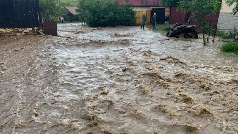 Ploile torențiale au făcut ravagii în România. Sute de gospodării, inundate de puhoaiele care au atins chiar și un metru