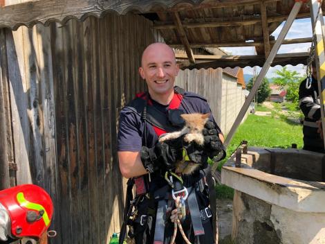 Un pui de pisică a căzut într-o fântână adâncă de 25 de metri, fiind salvat de pompierii din Braşov