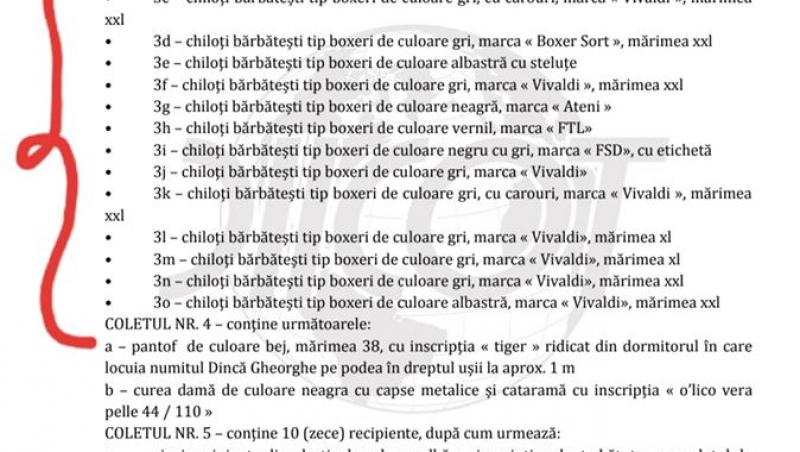 Detalii scandaloase din dosarul Caracal, publicate de familia Alexandrei Măceșanu: „O mascaradă fără limite! Priviți aici, informații 'relevante'”
