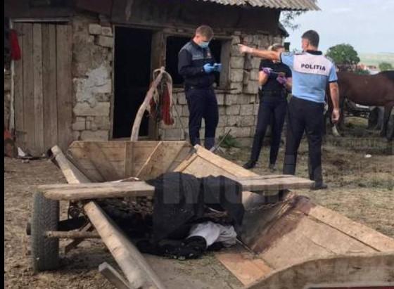 Cal bătut cu sălbăticie, la marginea drumului. Ce pedeapsă au primit cei doi agresori: &bdquo;Un exemplu pentru criminalii de animale!&rdquo; - Video