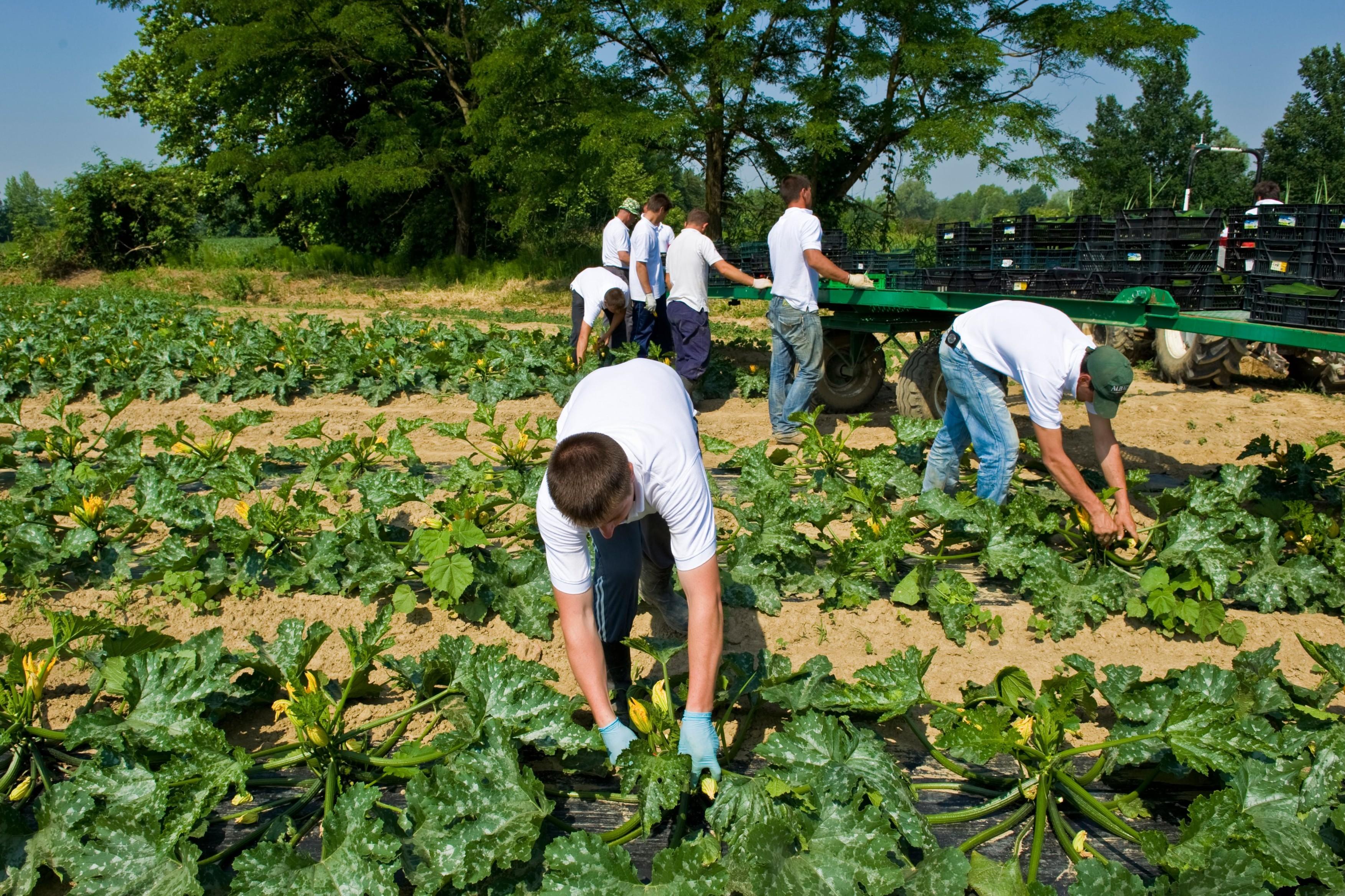 &bdquo;Rom&acirc;nii au adus noul val de coronavirus&rdquo;. Declarațiile șocante ale unui oficial german, după apariția mai multor focare de COVID-19