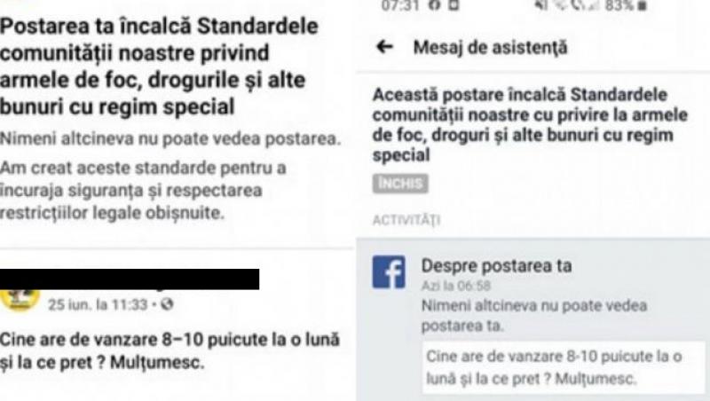 Un primar din Alba a fost prins căutând „puicuțe” pe Facebook! Edilul a reacționat imediat: „N-o să mai cumpăr în viața mea!”