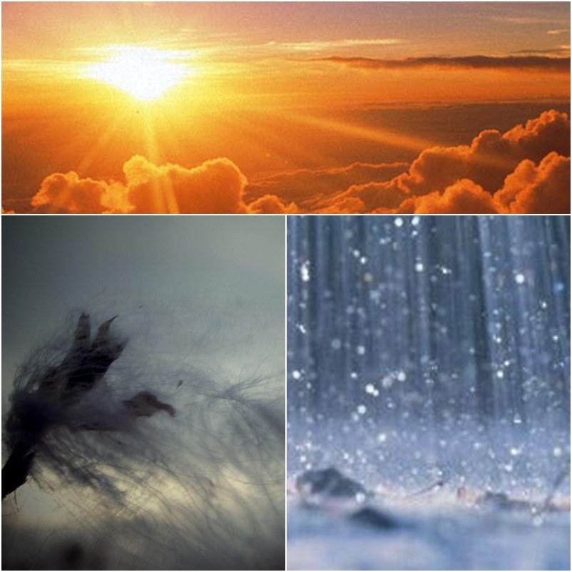 Vremea 10 iunie 2020. Temperaturi extreme, furtuni, ploi și descărcări electrice &icirc;n jumătatea nord-vestică a țării