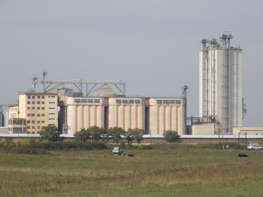 Timiş: 95 de cazuri de COVID-19 la angajaţi ai fermelor Smithfield