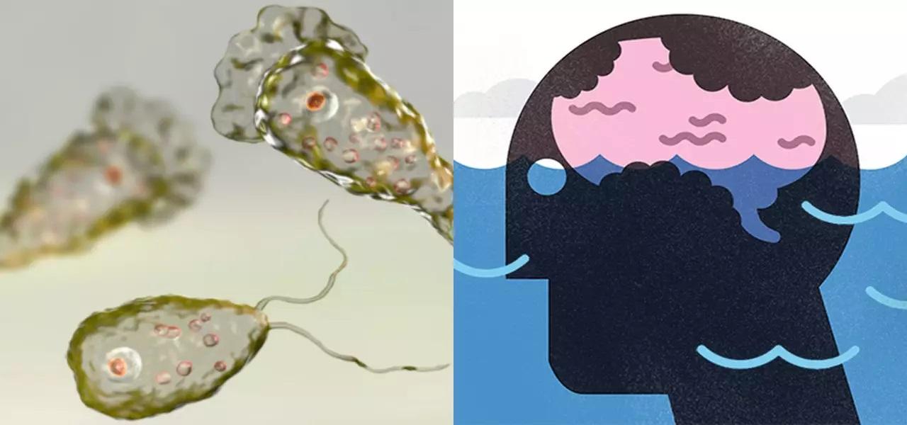 Medicii, avertisment de ultimă oră! A apărut un caz rar de infecție: &rdquo;Devorează creierul, iar persoanele infectate &icirc;și pierd viața aproape instant!&rdquo;