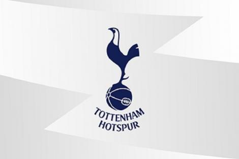 Tottenham - Everton, scor 1-0, în Premier League
