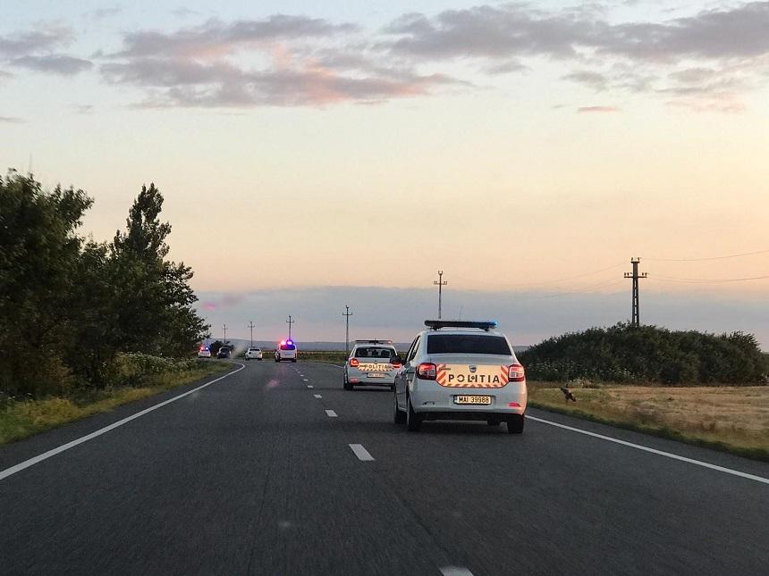 Percheziţii &icirc;n trei judeţe şi &icirc;n Capitală &icirc;ntr-un dosar viz&acirc;nd infracţiuni &icirc;n domeniul silvic