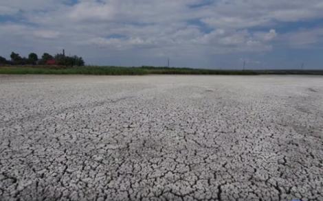 Aşa arată un lac din Delta Dunării! Secat în proporție de 95%, peste 850 de hectare sunt doar pământ arid