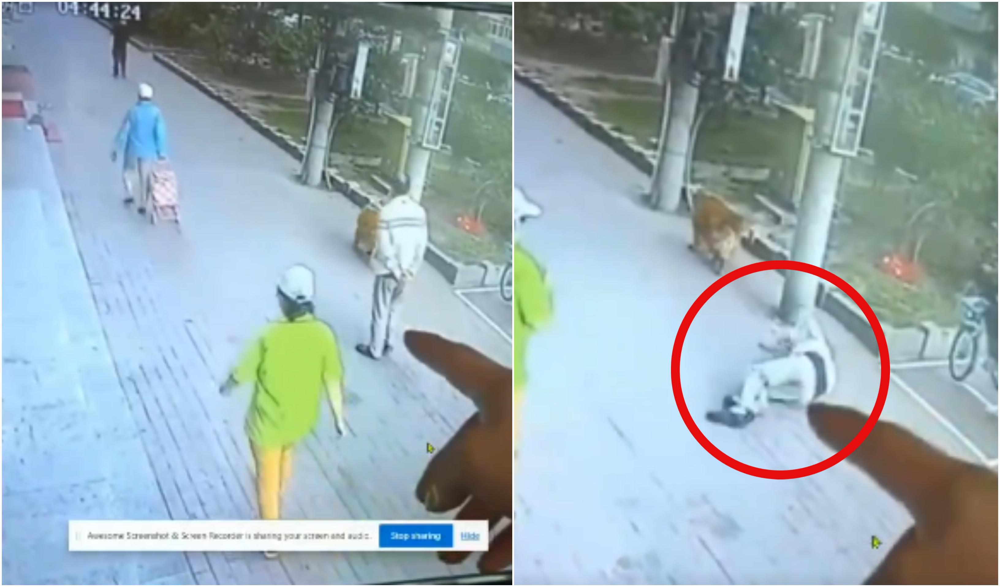 Video. Un bărbat a ajuns la spital după ce o pisică i-a căzut direct în cap, de la etaj. Acesta a avut nevoie de îngrijiri medicale și 23 de zile de spitalizare