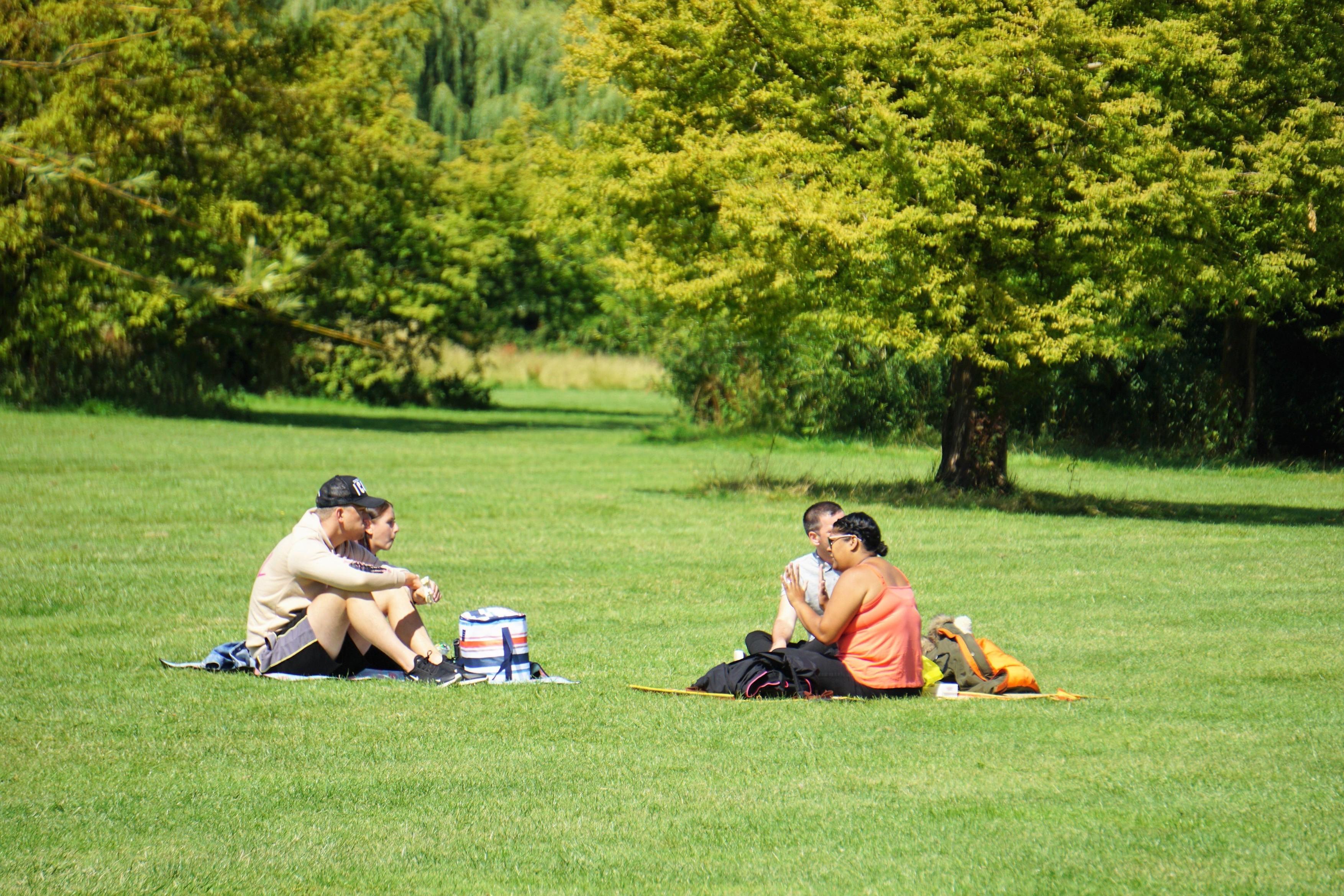 Știa că este COVID-19 pozitiv, dar a ieșit la iarbă verde, cu prietenii. Polițiștii l-au prins la Sinaia: &bdquo;Am vrut să facem picnic&rdquo;