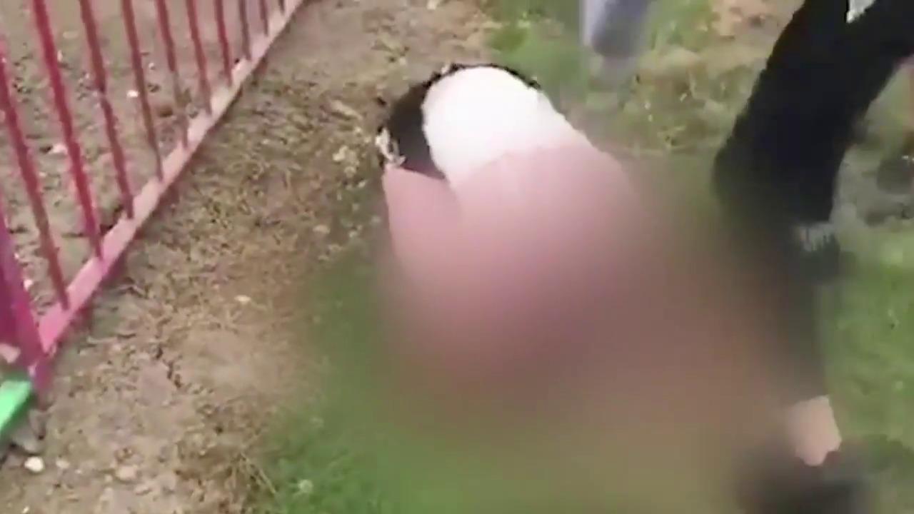 Momentul șocant &icirc;n care o fată de 11 ani e lovită de o alta &icirc;n parc. Copiii str&acirc;nși &icirc;n jurul lor r&acirc;d &icirc;n hohote și o &icirc;ncurajează pe agresoare s-o lovească