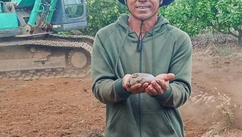 O specie de broască asemănătoare celei taur i-a amuzat copios pe mai mulți muncitori de pe un șantier din Cambodgia