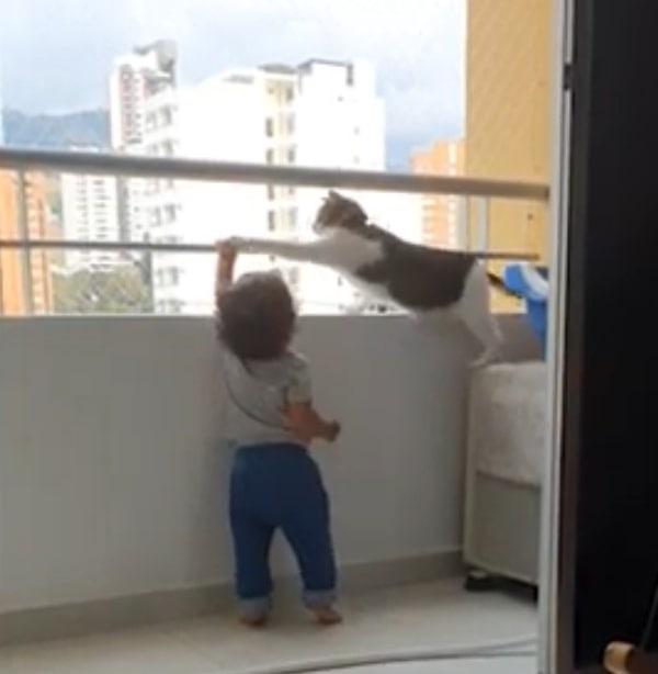 Un animal a devenit erou pentru un copil care era la un pas să cadă de pe balcon. Clipul a ajuns viral &icirc;n mediul online