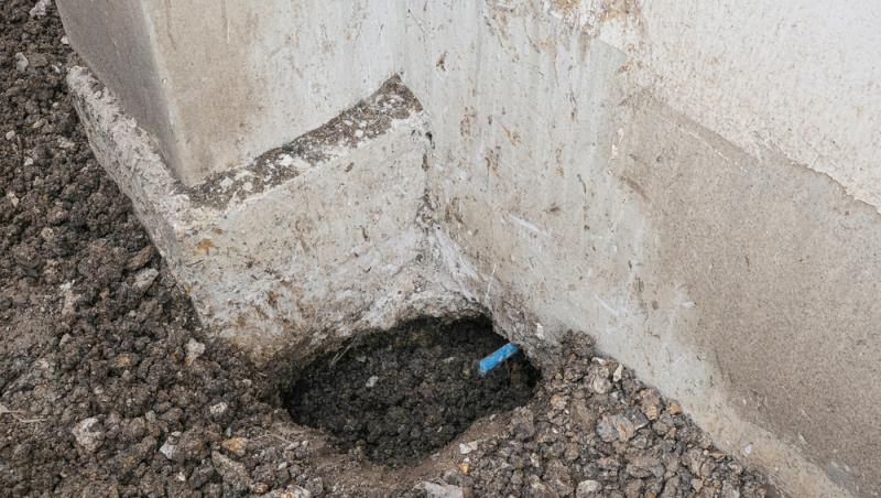 O femeie din California a cerut ajutor urgent după ce a descoperit că în temelia casei sale se afla un cuib de șerpi cu clopoței. Peste 90 de animale au găsit ajutoarele sale