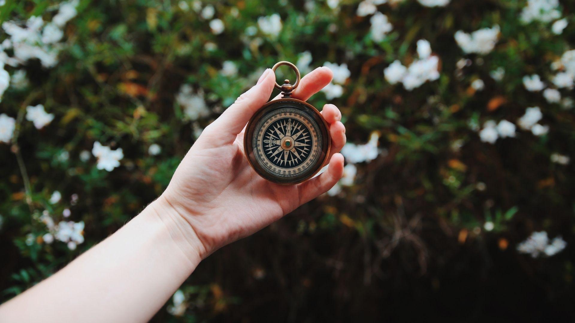 (P) Te simți dezorientat &icirc;n carieră? Urmează cursurile gratuite de IT!