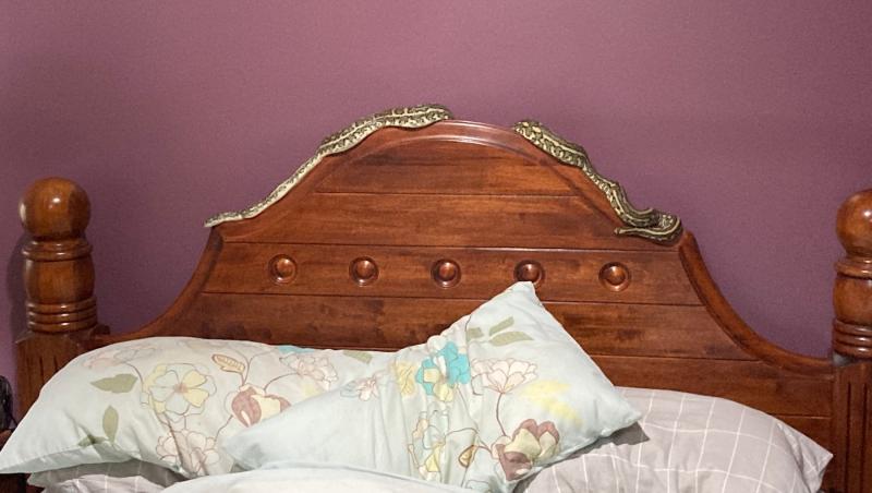 imagine cu un șarpe pe tăblia unui pat