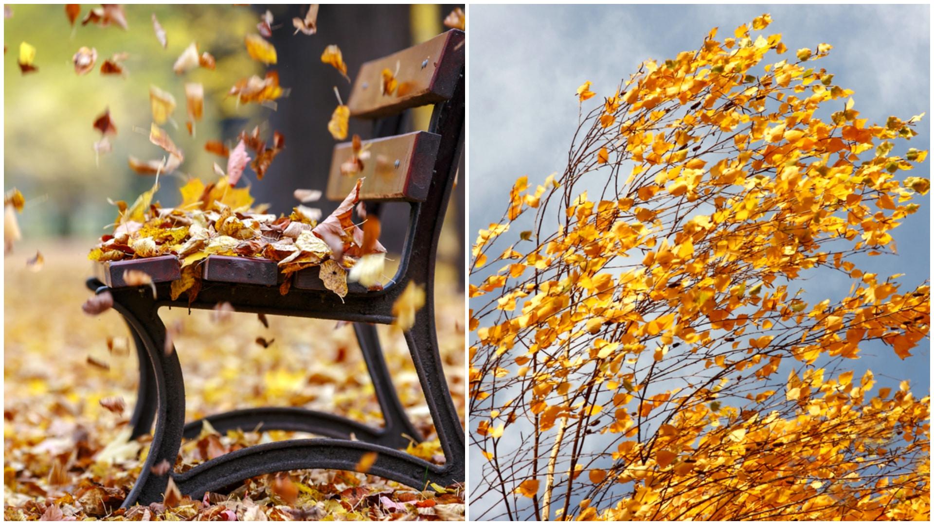 Alertă meteo! Cod galben de v&acirc;nt puternic, &icirc;n următoarea perioadă. Ce zone sunt vizate de avertizarea meteorologilor