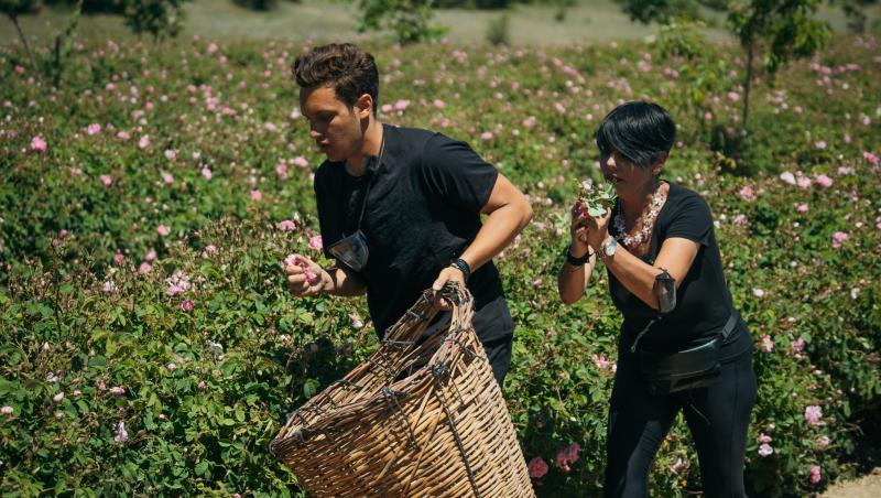 Asia Express, 6 octombrie 2021. Trei echipe au cules mii de trandafiri la Cursa de Ultima Șansă. Ce au făcut cu ei