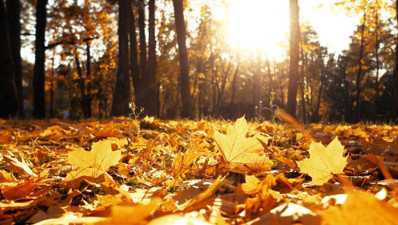 Meteorologii anunță temperaturi de până la 22 de grade în noiembrie. Prognoza meteo pentru începutul lunii