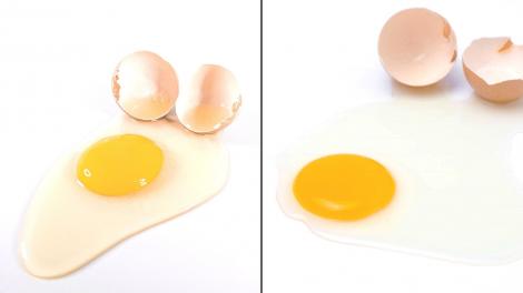 Cum deosebești oul proaspăt de cel învechit. Află detaliul care face diferența