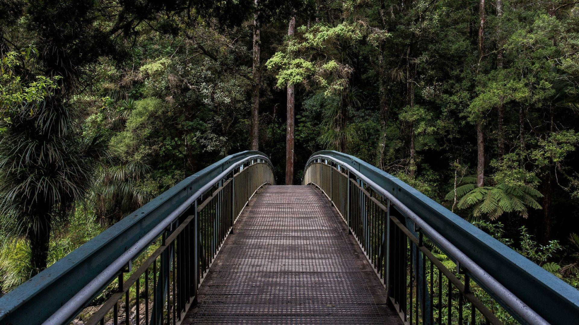 (P) De unde &icirc;ncepi o schimbare &icirc;n carieră