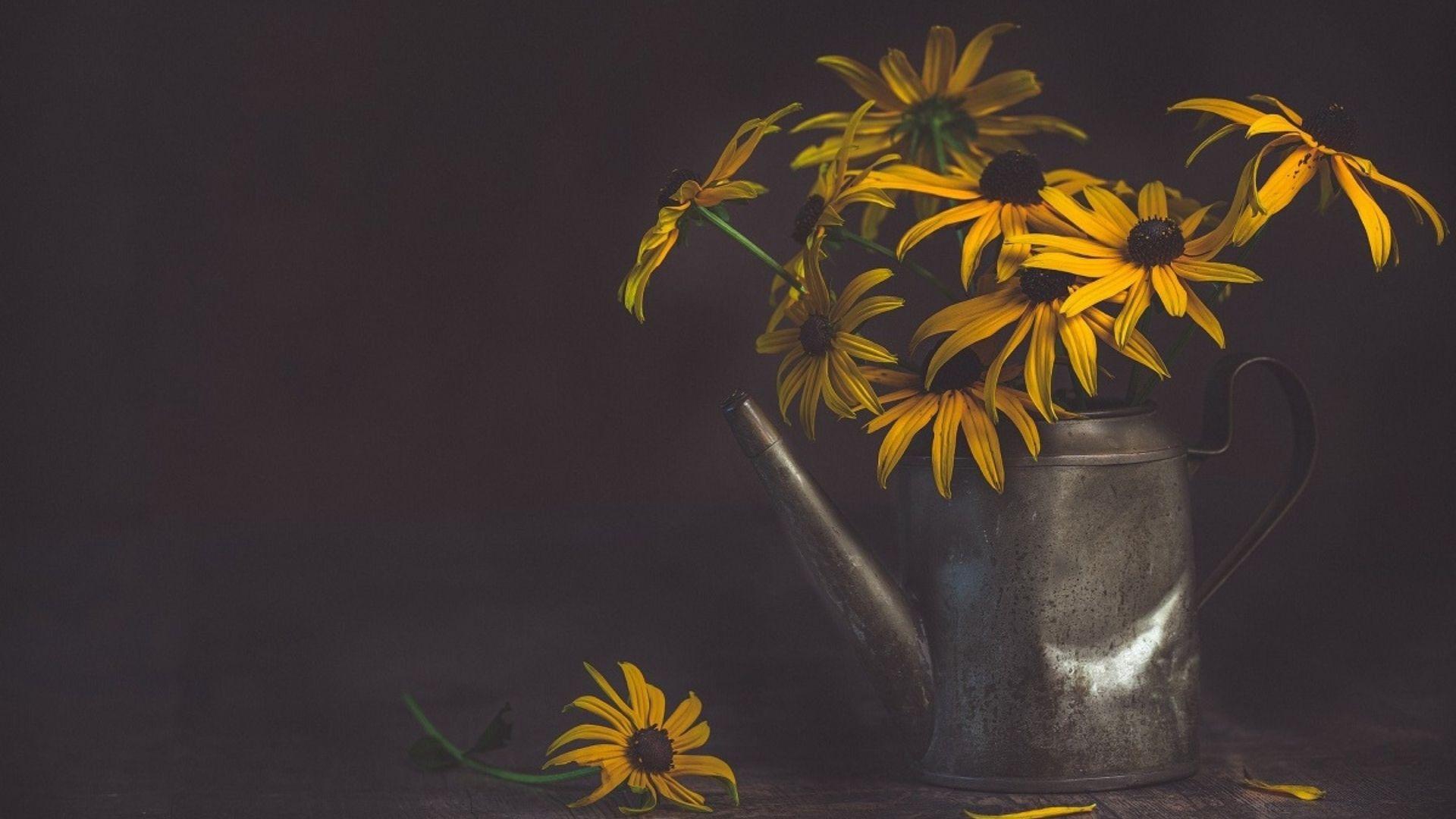 (P) Ce cadouri poți dărui de Crăciun? Iată care sunt cele mai bune idei