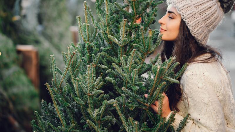 Specialiștii au dezvăluit care sunt motivele pentru care ar trebui să cumperi un brad natural de Crăciun