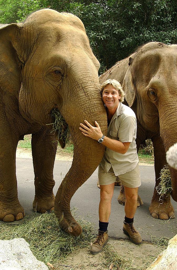 Steve Irwin, lângă un elefant