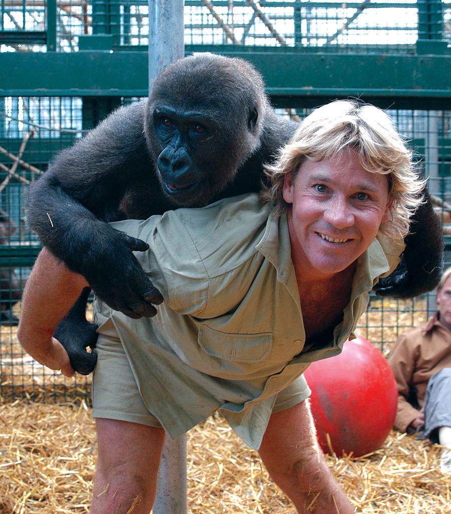 Steve Irwin, ținând în spate o gorilă
