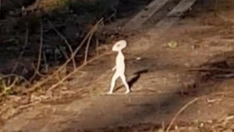 Mellisa a observat o minusculă figurină în formă de umanoid care merge spre stânga imaginii