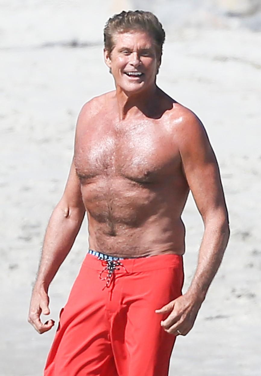 david hasselhoff