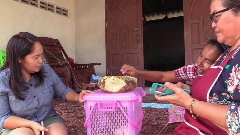 Femeia a arătat bucata de ambră gri pe care a găsit-o, în Thailanda