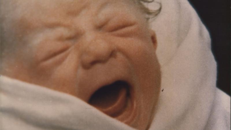Primul copil din lume care a fost creat prin fertilizare în vitro are 42 de ani, în prezent. Cum arată acum Louise Joy Brown