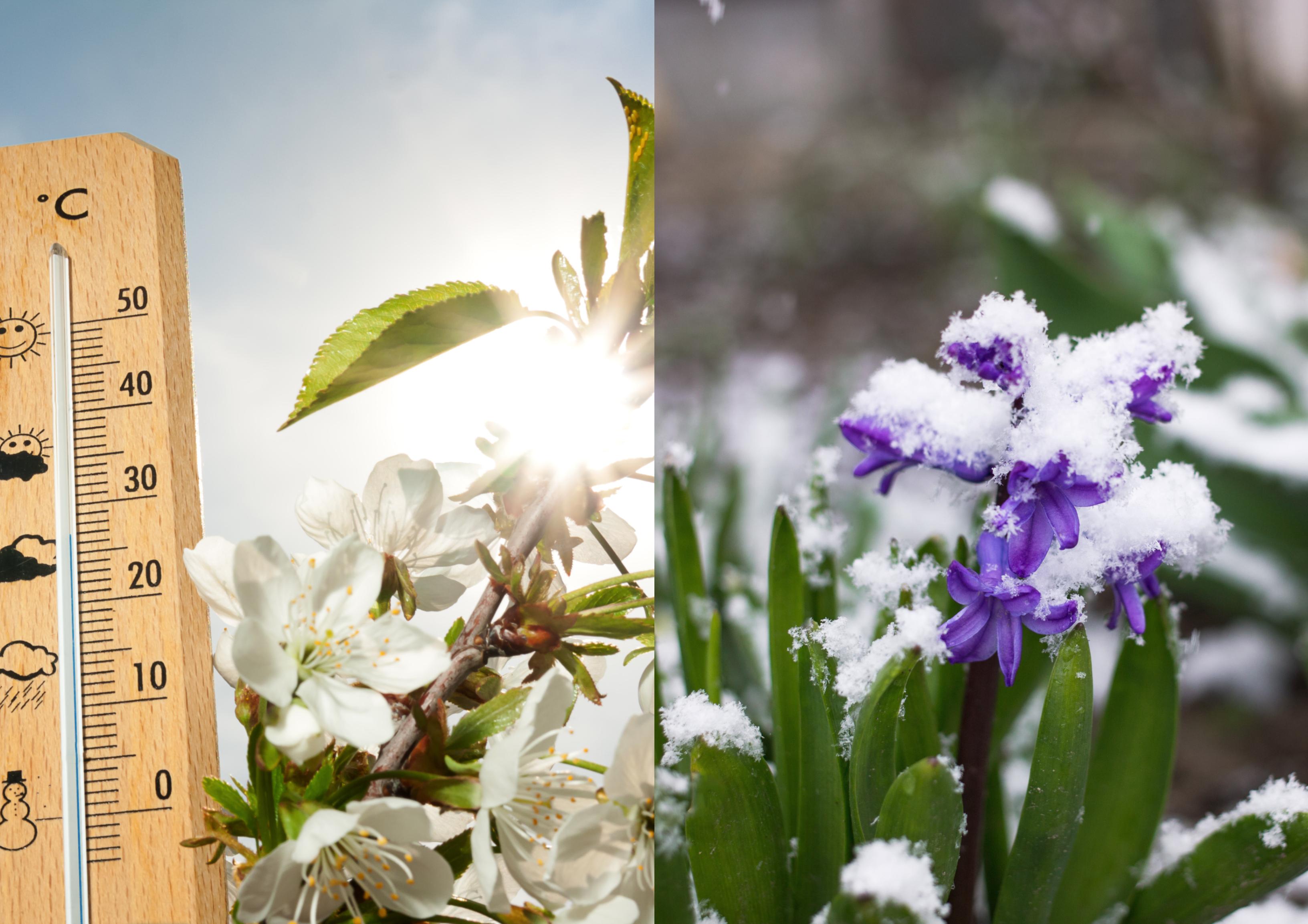 Alertă ANM! Rom&acirc;nia este &icirc;mpărțită &icirc;ntre primăvară și iarnă. Unde se vor &icirc;nregistra cele mai scăzute și cele mai mari temperaturi