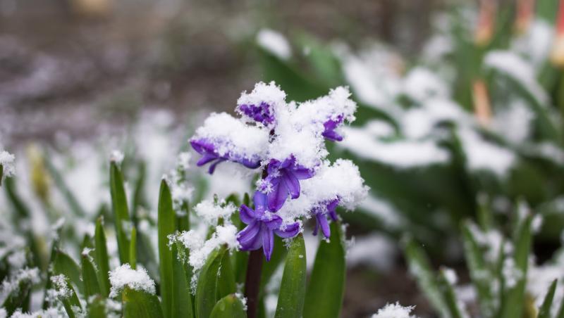 Meteorologii au anunțat prognoza meteo pentru săptămâna sărbătorilor pascale și 1 mai