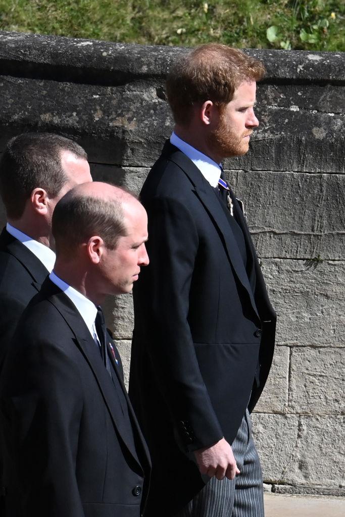 printii harry, william si varul peter