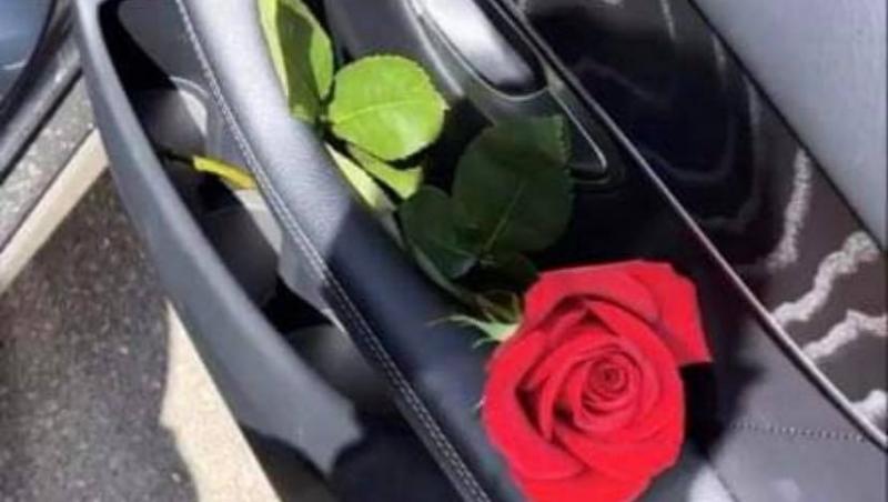 Trandafir roșu în portiera mașinii