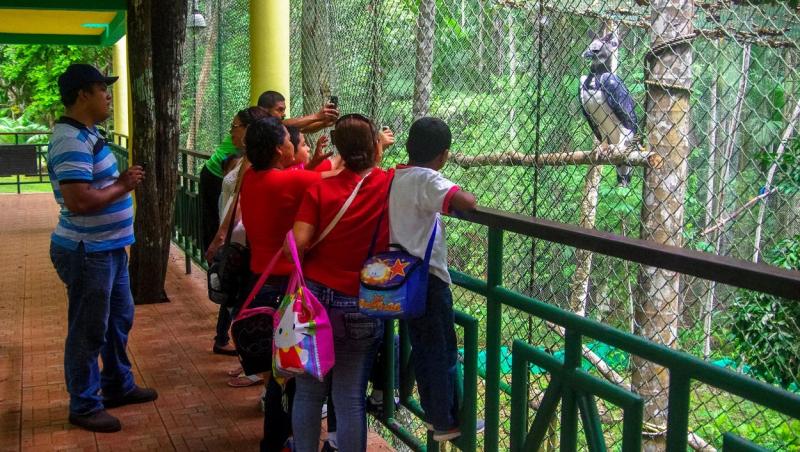 turiști vizitand o gradina zoologica unde se afla o acvila harpie
