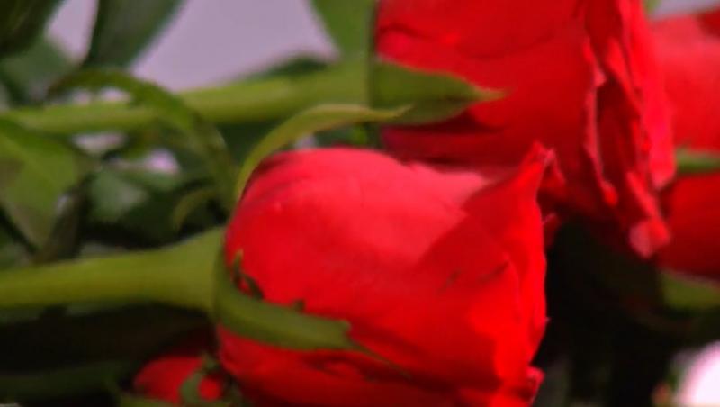 imagine cu trandafirii oferiti la ceremonia de la Burlacul