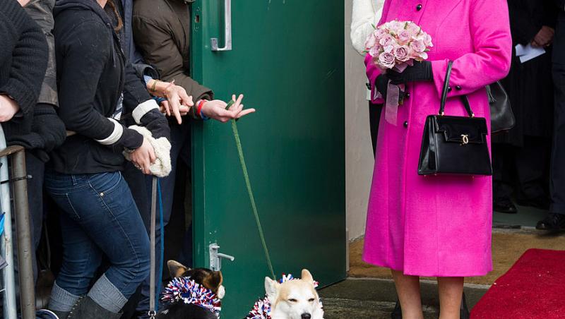 Regina Elisabeta a II-a se desparte de încă un animal de companie: ”Se simte devastată”