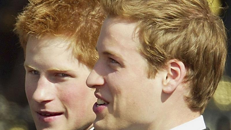 Prinții William și Harry cred ca știu care a fost cauza morții Prințesei Diana. Dezvăluirile făcute la 24 ani de la moartea ei